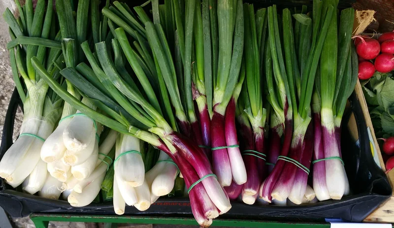 Légumes de saison et aromates : le duo gagnant