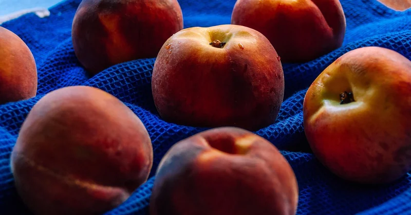 Variétés de pêches : ce que le fruit change dans le pot