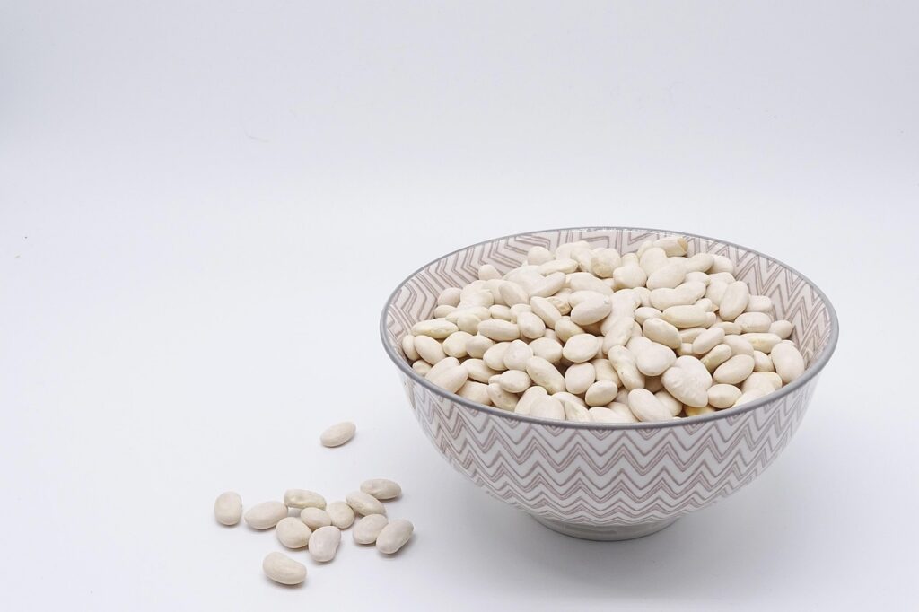 Quelles sont les meilleures alternatives végétariennes pour remplacer la viande dans vos plats préférés? découvrez les meilleures alternatives végétariennes à la viande pour une alimentation saine, savoureuse et respectueuse de l'environnement.