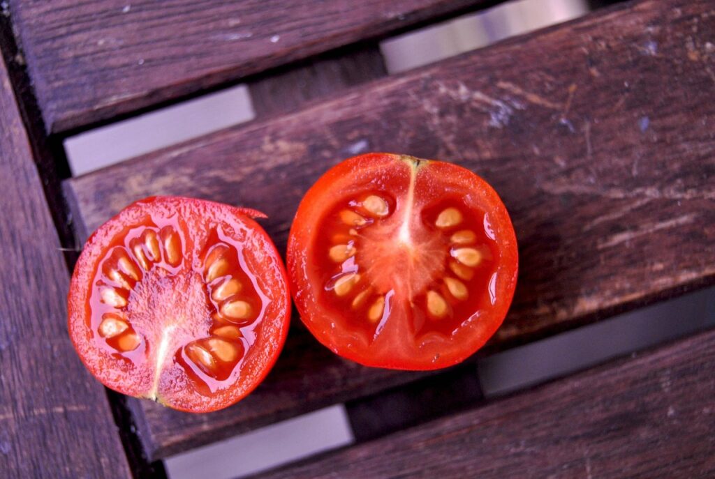d&eacute;couvrez nos recettes estivales &agrave; base de tomates fra&icirc;ches, parfaites pour des repas savoureux et color&eacute;s sous le soleil d'&eacute;t&eacute;.
