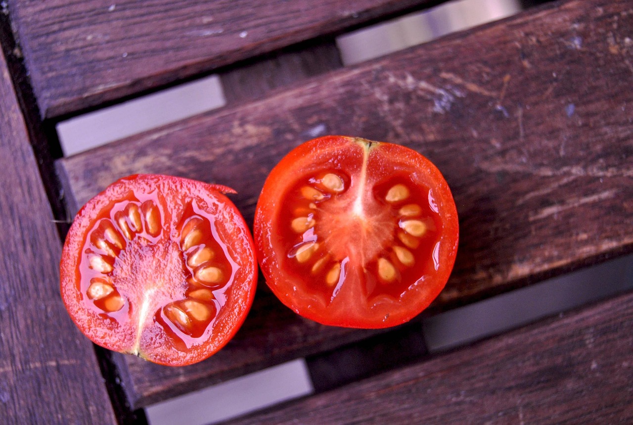 d&eacute;couvrez nos recettes estivales &agrave; base de tomates fra&icirc;ches, parfaites pour des repas savoureux et color&eacute;s sous le soleil d'&eacute;t&eacute;.